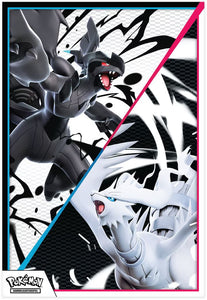 Pokémon - Schwarze Blitze & Weiße Flammen Poster Kollektion (DE)